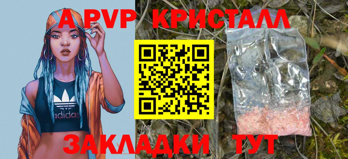 Альфа ПВП СК КРИС  Вход с VPN  Рязань  A-PVP крисы CK 