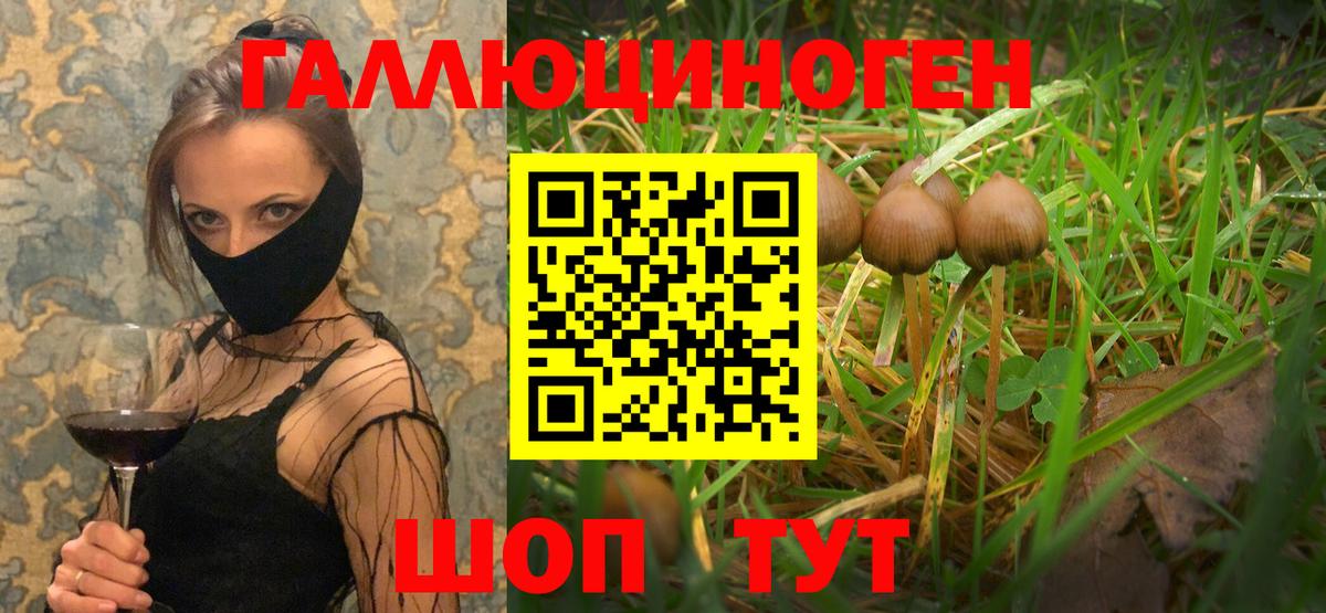 Галлюциногенные грибы Magic Shrooms Рязань