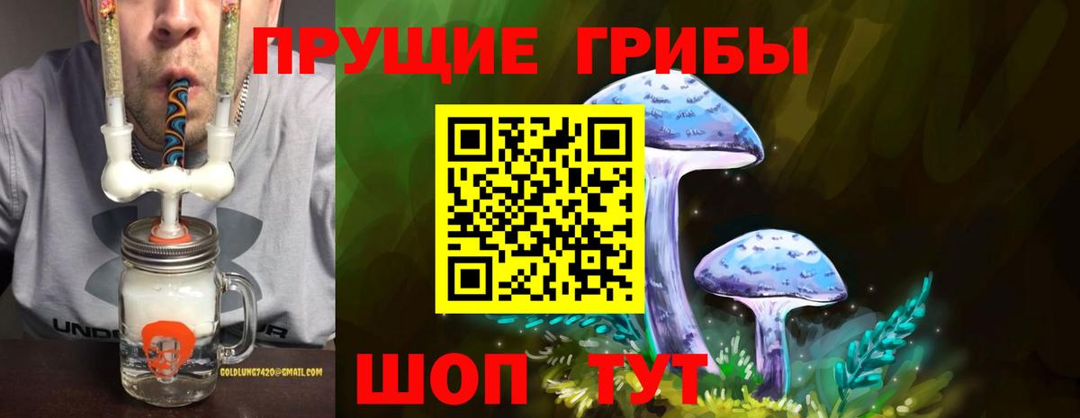 Рязань  где найти наркотики  Вход с VPN  Псилоцибиновые грибы Cubensis 
